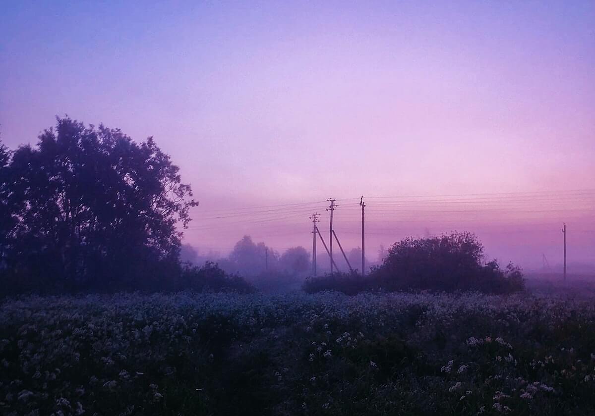 5金4银6铜！中国冬奥军团刷新境外参赛历史最好成绩